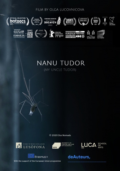 Nanu Tudor poster 2 1