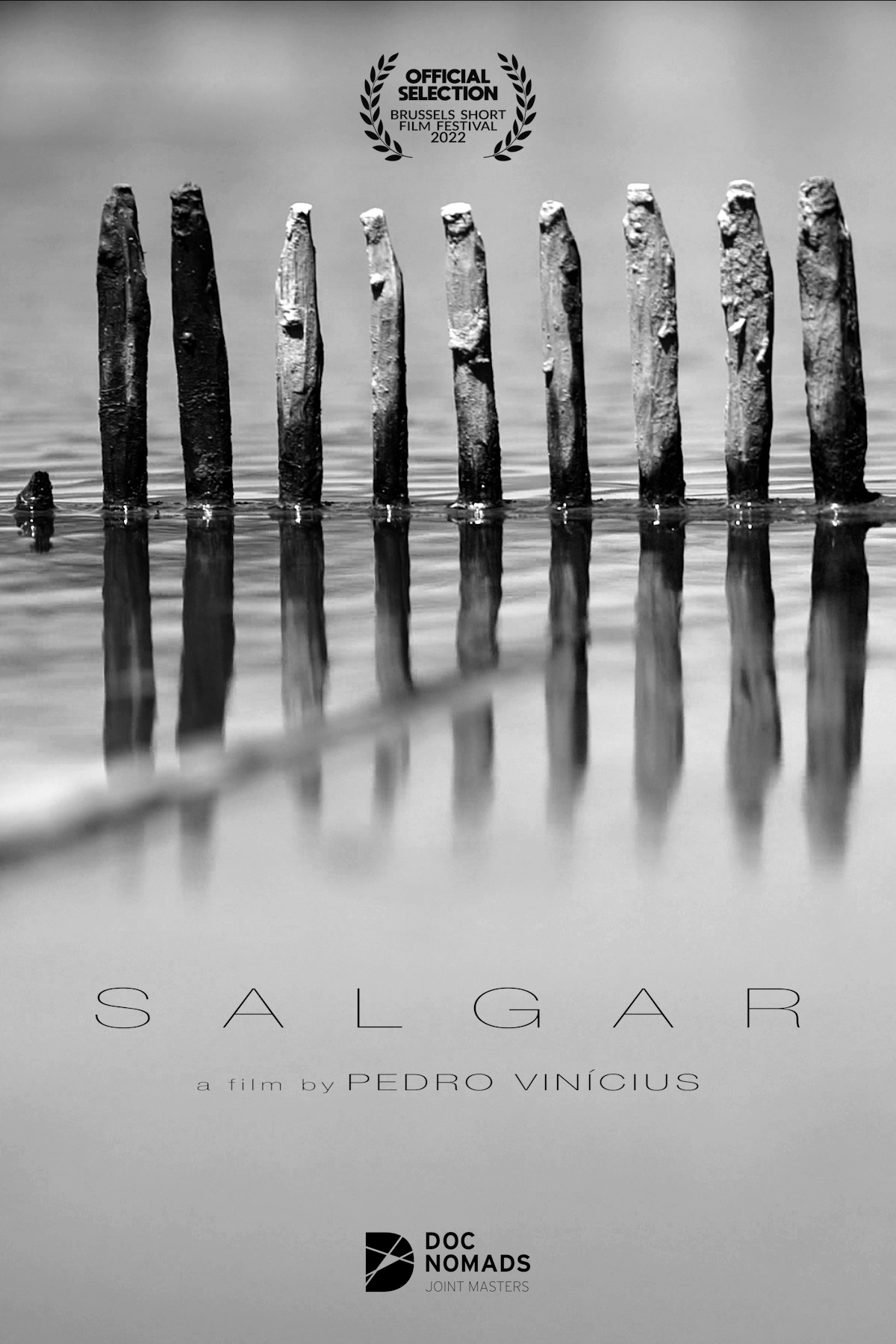 SALGAR Poster