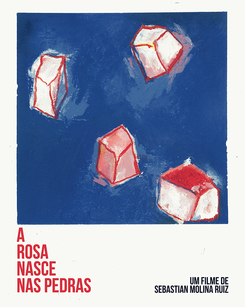 ARosa Poster 800