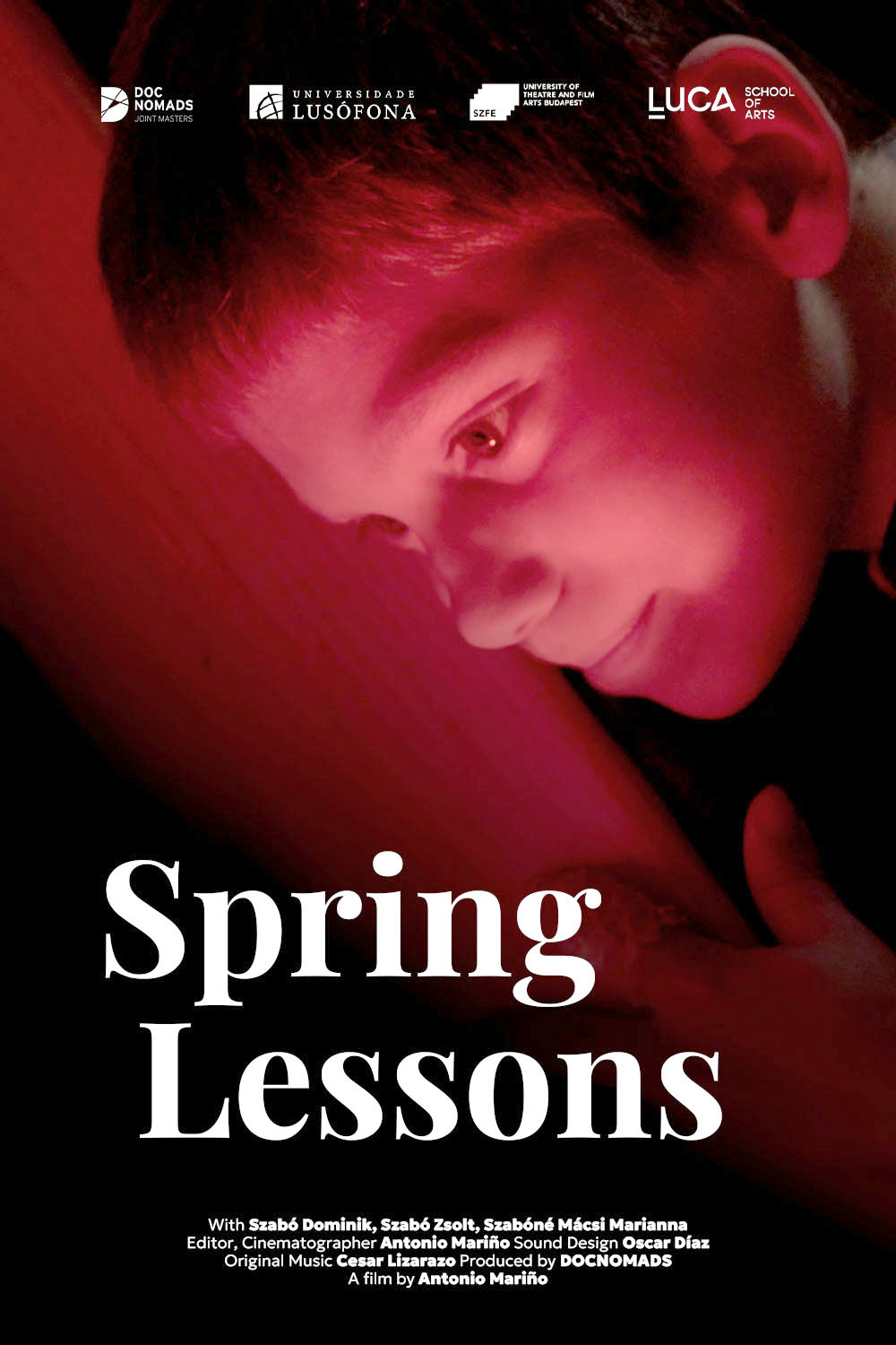 Spring Lessons Poster CORR