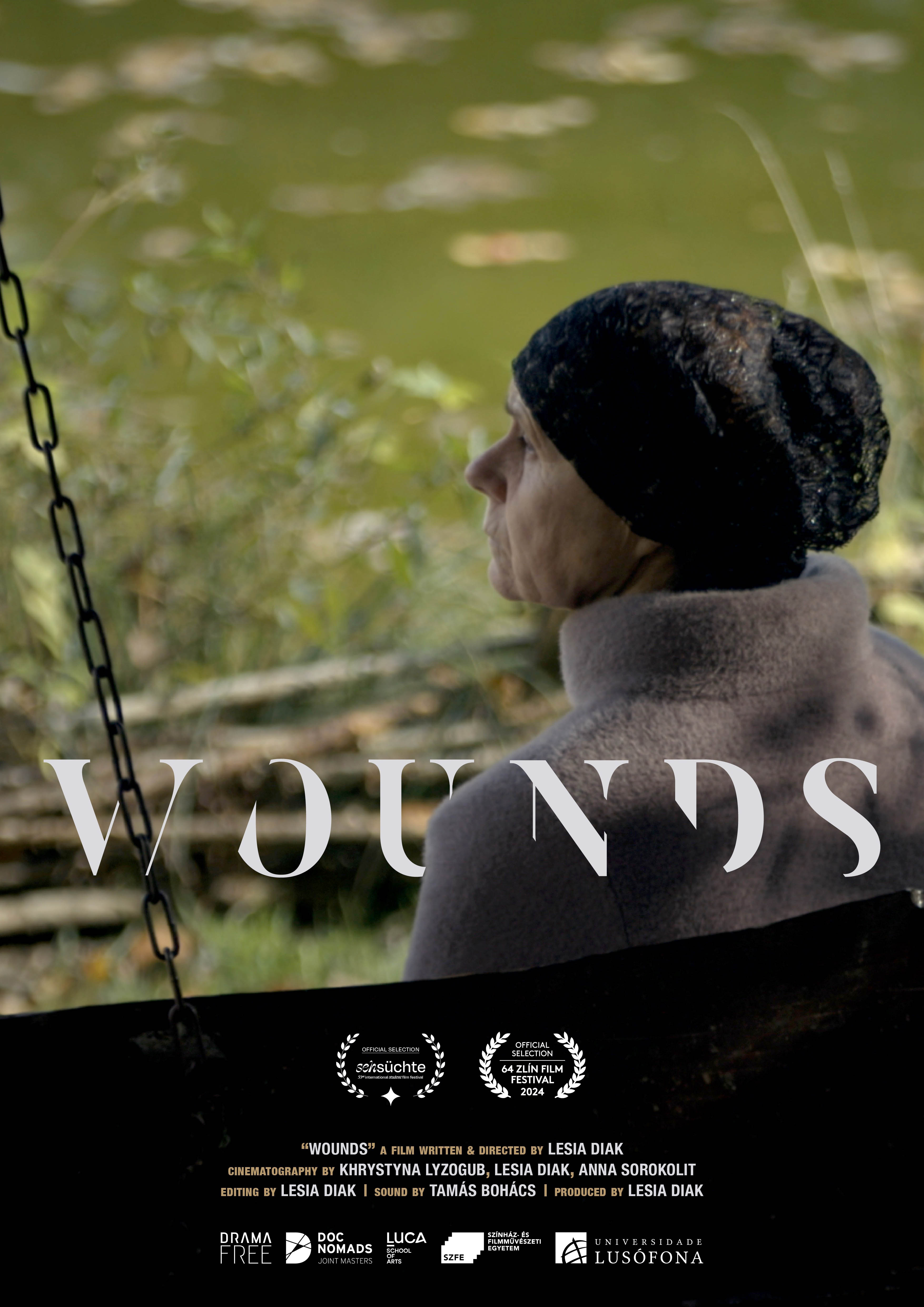 Wounds Poster corr
