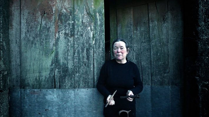 Nightfall Xinyang Meng China 400