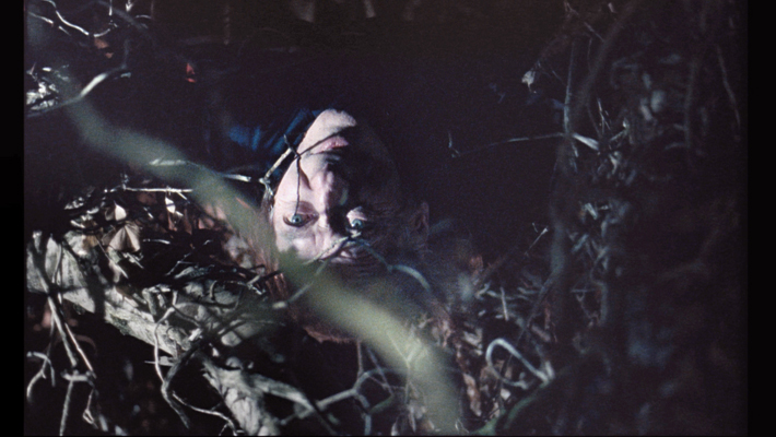 World Wood Web Ida Sørensen Denmarkcrop